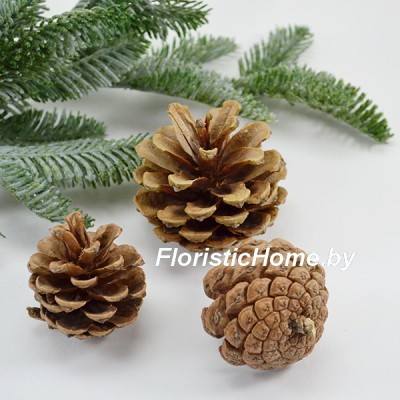 ШИШКА, Крымская 1 шт. на проволоке, L 5-7 см, 0 - в ассортименте