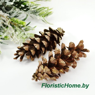 ШИШКА, Сосны Веймутова 1 шт. в глиттере, L 8-15 см, 0 - в ассортименте