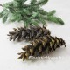 ШИШКА, Сосны Веймутова 1 шт. в глиттере, L 8-15 см, 0 - в ассортименте