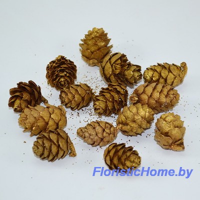 ПЛОДЫ Шишка лиственницы мини, 25 гр., L 1-3 см, желтое золото с блестками