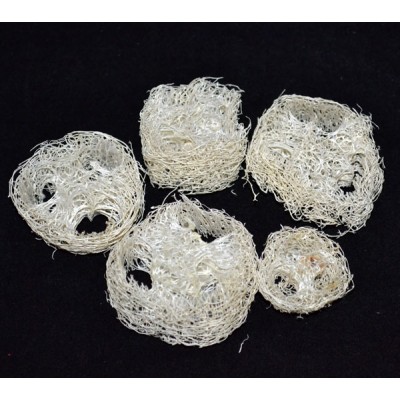 ЛЮФА, Срезы 5 шт., d 2-6 см, 0 - в ассортименте