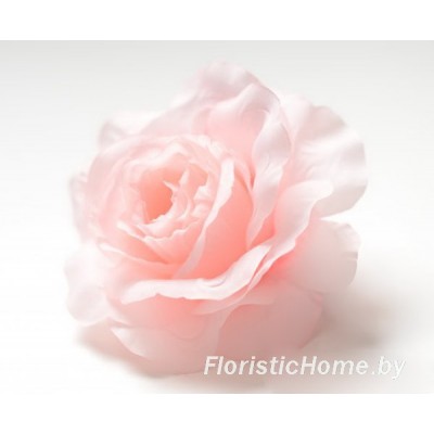 ГОЛОВКИ ЦВЕТОВ Роза раскрытая, d 10 см, светло-розовый - ярко-коралловый