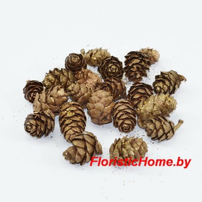 ШИШКА, Лиственницы 25 гр., L 1-4 см, 0 + цвет