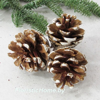 ШИШКА, Сосны в белой патине 3 шт.в связке, разноразмерные, 0 - в ассортименте