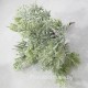 ВЕТКА  Связка- букетик хвои  ( 7,0 ), , 0 - в ассортименте